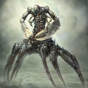 Meet your Posher, Mirna